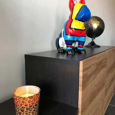 Daire Cosy, Trendy En Zuid Gelegen Ruim Op 100m En Winkelstraat