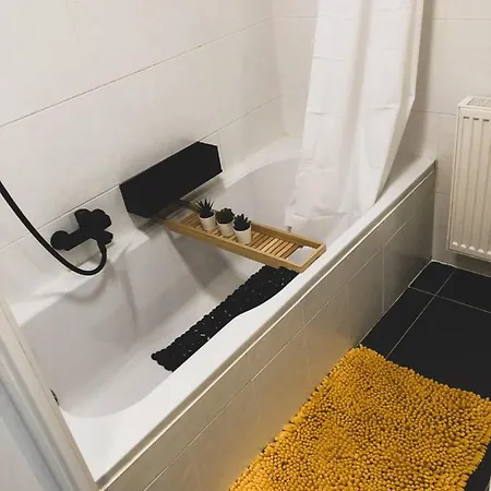 Cosy, Trendy En Zuid Gelegen Ruim Op 100m En Winkelstraat Daire Nieuwpoort